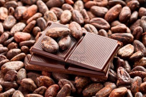 cocoa health benefits